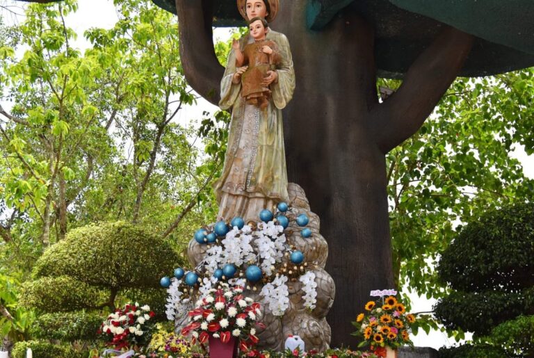 Giờ lễ Trung tâm hành hương Đức Mẹ La Vang (H. Hải Lăng) Giờ lễ Trung tâm hành hương Đức Mẹ La Vang (H. Hải Lăng)