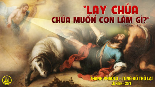 Thánh Phaolô, tông đồ, trở lại