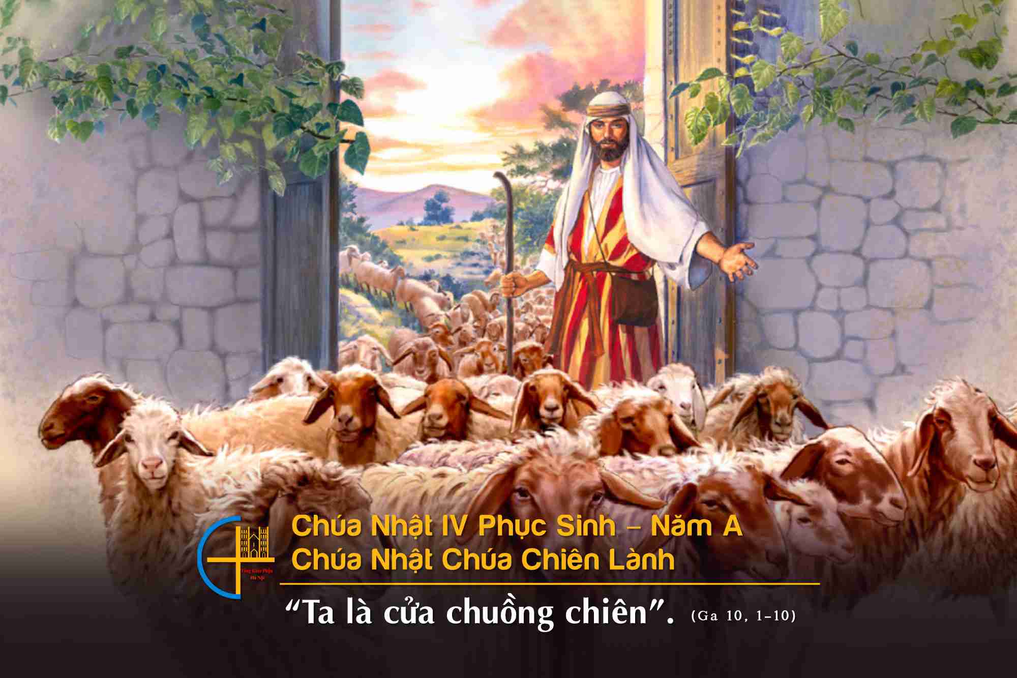 CHÚA NHẬT IV PHỤC SINH. Thánh vịnh tuần IV. CHÚA NHẬT CHÚA CHIÊN LÀNH. Cầu cho ơn thiên triệu linh mục và tu sĩ