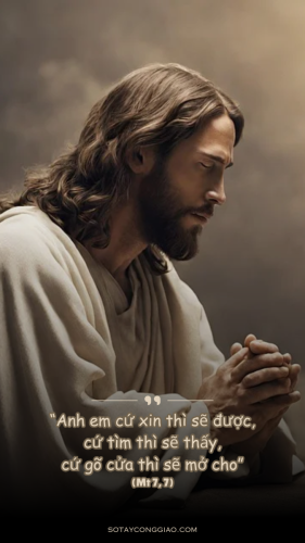 Anh em cứ xin