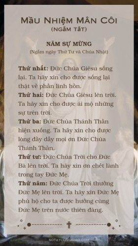 Mầu Nhiệm Mân Côi (Ngắm tắt) - Năm Sự Mừng