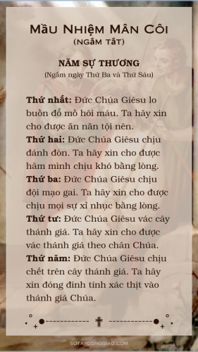 Mầu Nhiệm Mân Côi (Ngắm tắt) - Năm Sự Thương