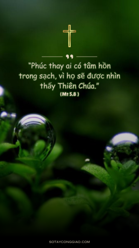 Tâm Hồn Trong Sạch